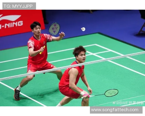 羽毛球个人能力排行榜揭晓杭州羽毛球队荣登第八名位置