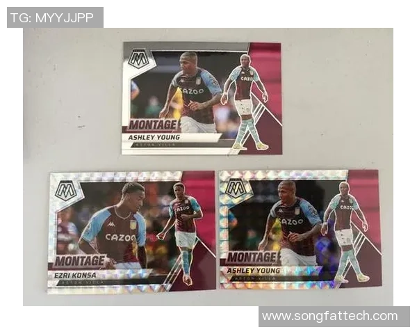 英超新赛季足球明星新球员盘点与表现分析