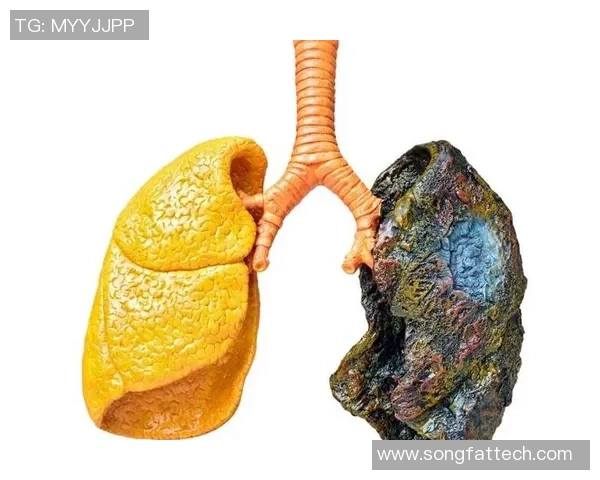 足球明星吸烟现象调查揭示健康隐患与职业形象的矛盾关系 足球明星吸烟现象调查揭示健康隐患与职业形象的矛盾关系