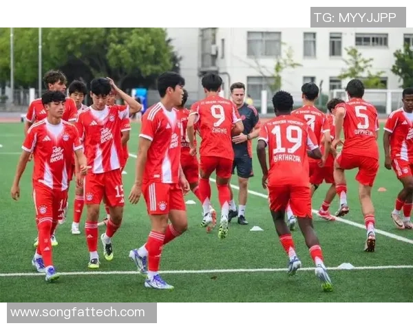 足球明星粉丝团热情汇聚共同见证偶像荣耀与梦想的旅程 足球明星粉丝团热情汇聚共同见证偶像荣耀与梦想的旅程