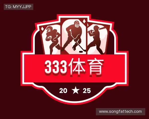 关于333体育